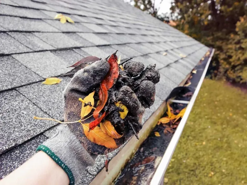 gutter cleaning in zachary louisiana leaves in hand