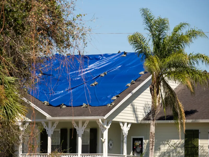 house with roof covered by blue tarp surrounded by palm trees
