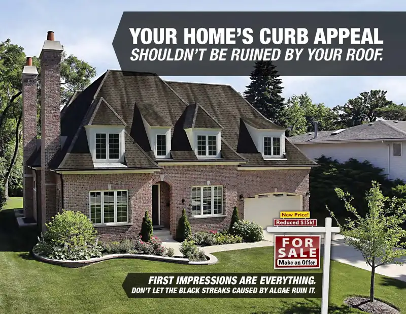 atlas shingles curb appear flyer infographic page 2