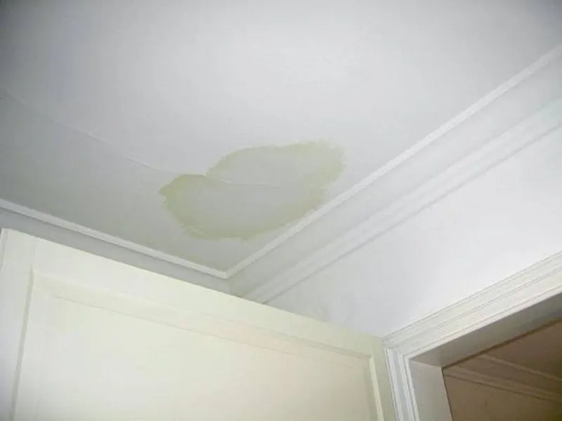 ceiling stain from roof leak