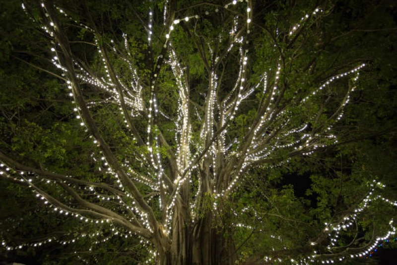 classic white christmas lights outdoor professionally installed