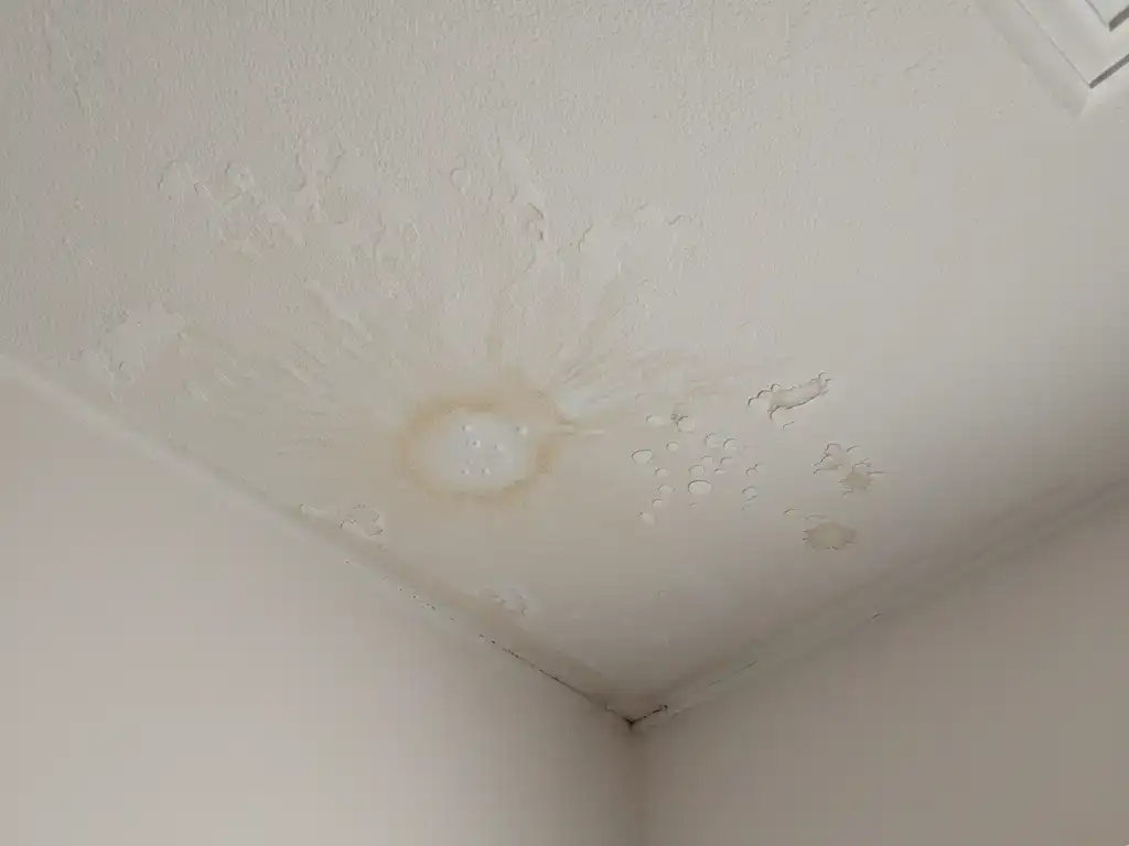 large yellowish water stain ceiling bubbling paint