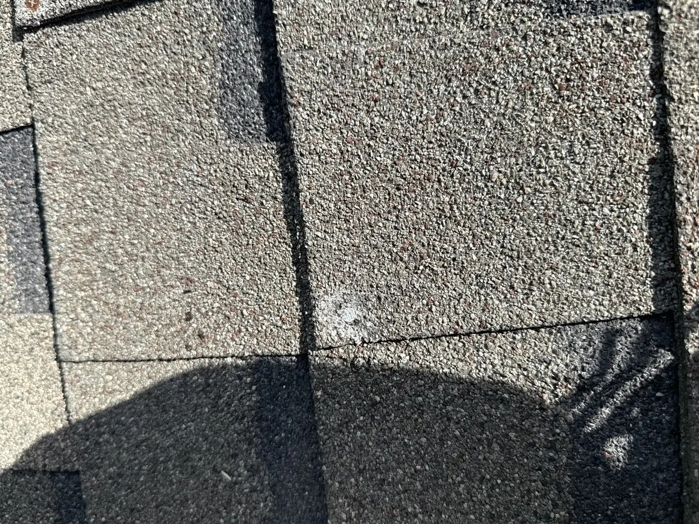 Close-up of hail bruising and granule loss on an aging asphalt shingle roof documented for an insurance claim