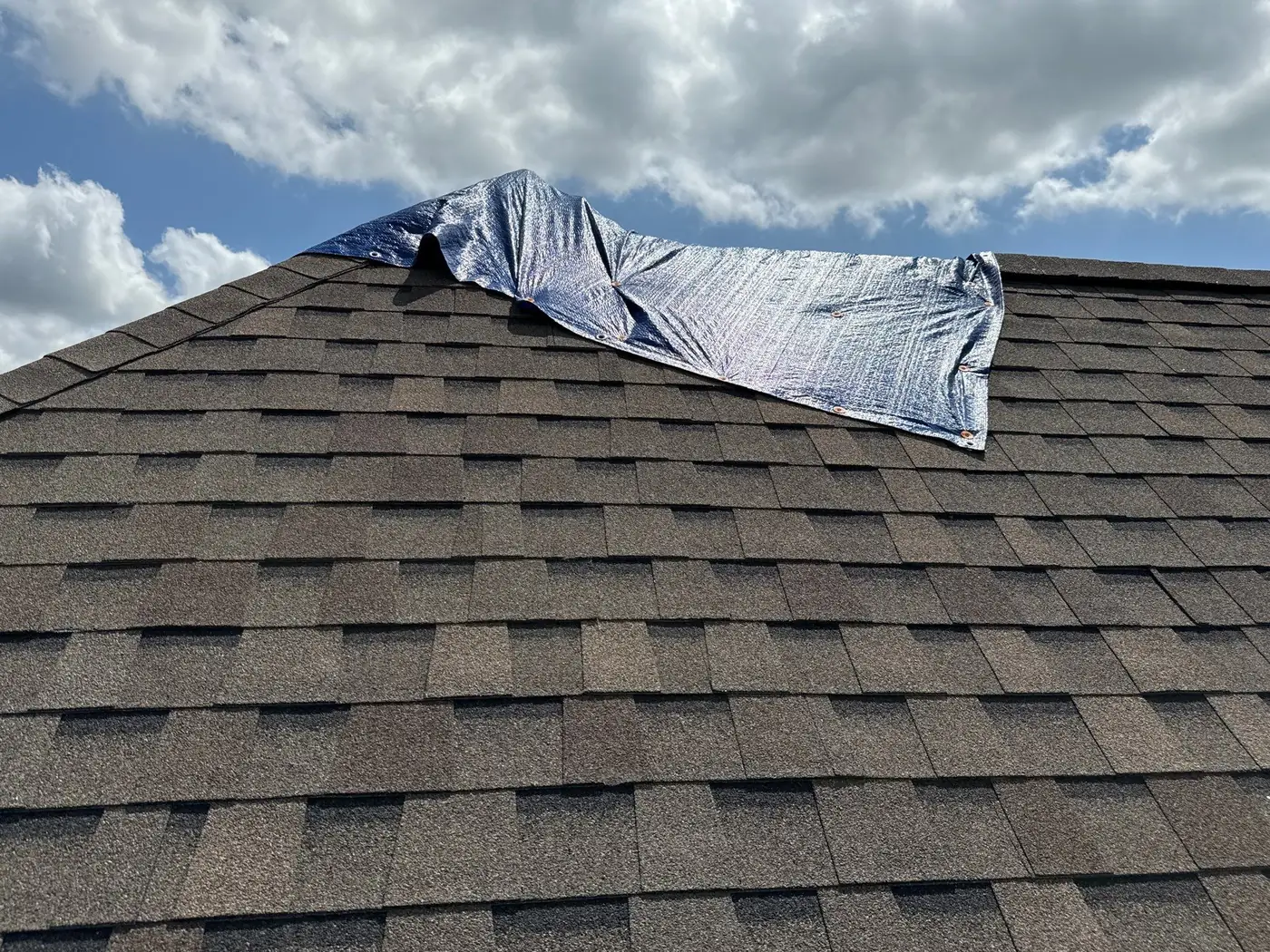 Blue emergency tarp covering storm damage on the ridge of a weathered asphalt shingle roof in Zachary, Louisiana
