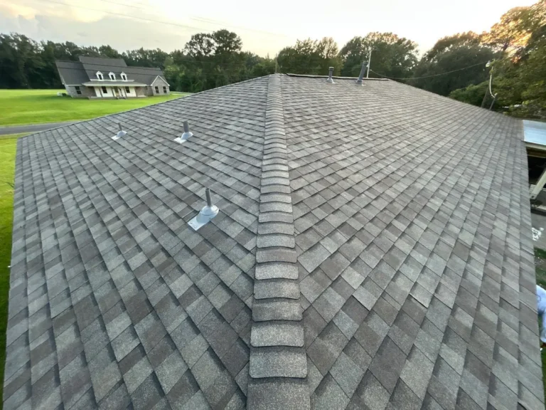 Finished architectural shingle roof planes on the Slaughter, Louisiana home