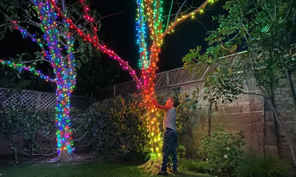 boy looking at christmas lights on tree