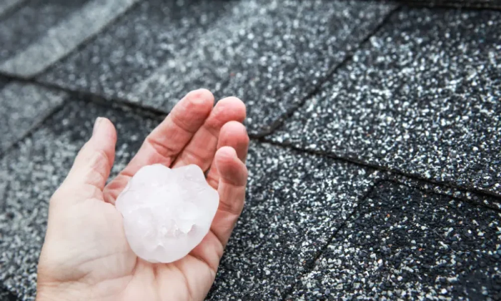 hail in hand next to asphalt roof