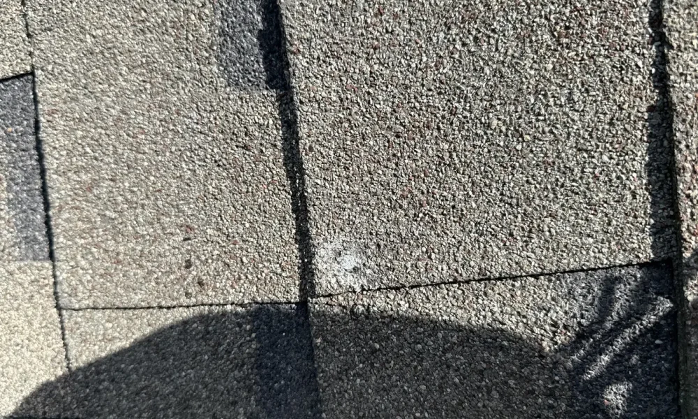 Close-up of hail bruising and granule loss on an aging asphalt shingle roof documented for an insurance claim
