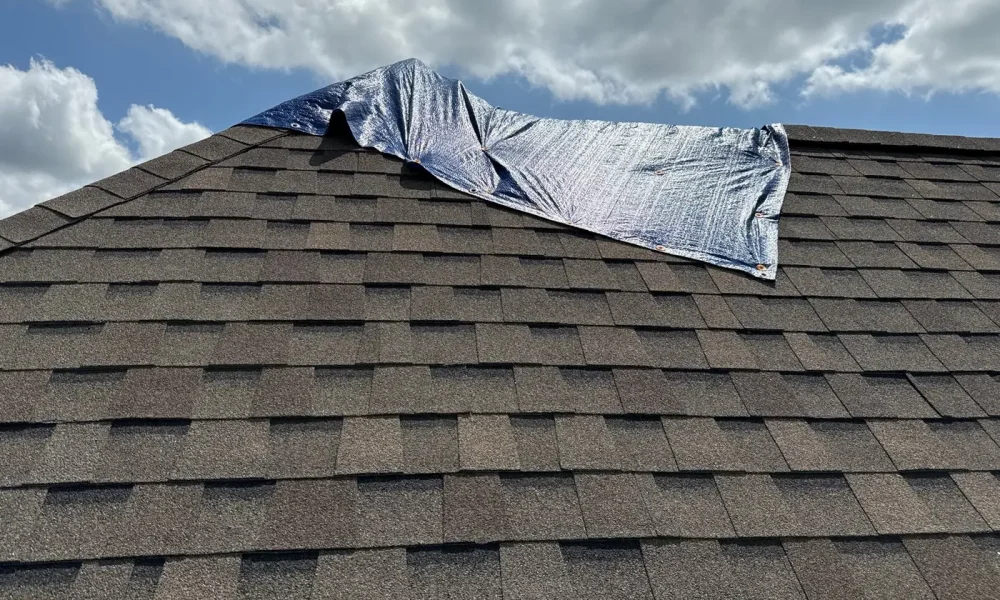 Blue emergency tarp covering storm damage on the ridge of a weathered asphalt shingle roof in Zachary, Louisiana