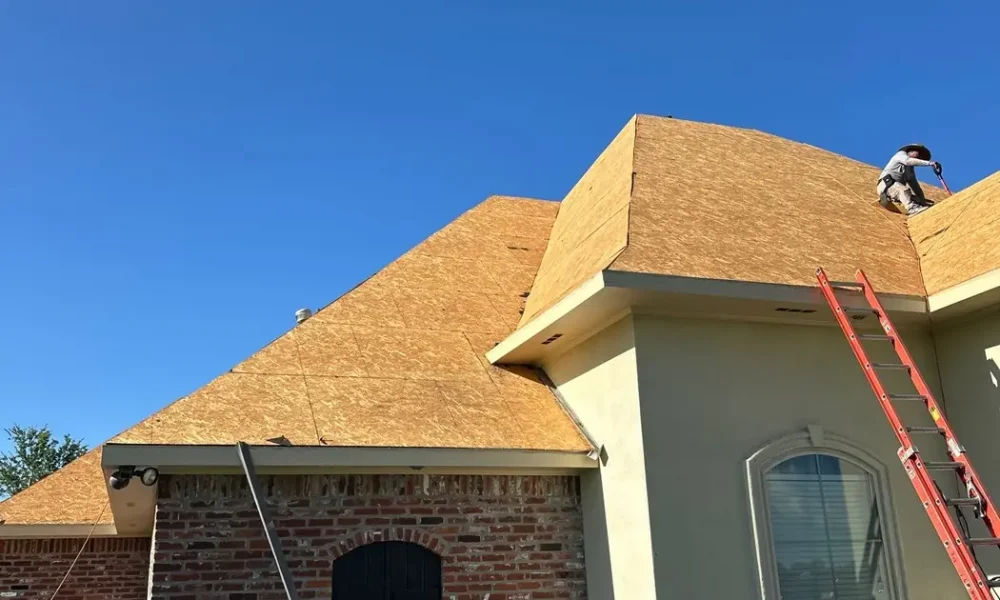 Roof deck covered in synthetic underlayment after full tear-off, with landscaping protected by tarps