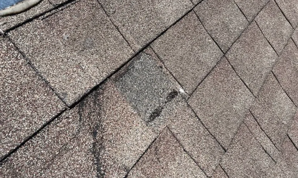 pine thicket ave roofing project 7