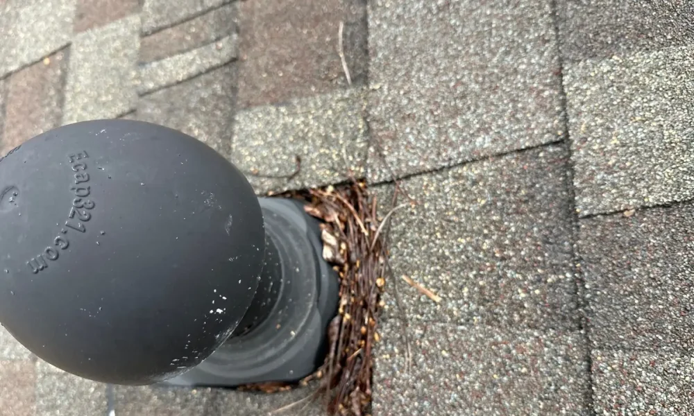 Pine straw and leaves packed against a pipe vent flashing on a Baker roof before the repair