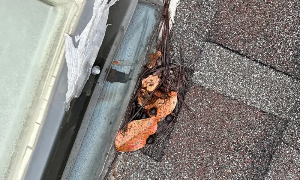 Split, peeling sealant and packed leaves at a skylight corner before the repair in Baker