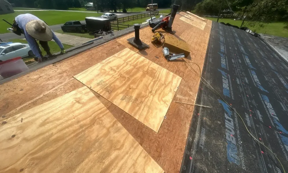 Fresh plywood decking installed to replace the damaged section on the Slaughter roof