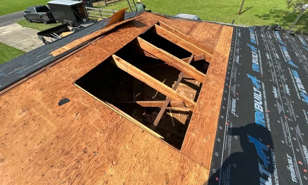 Section of rotted roof decking cut away to expose the rafters before replacement