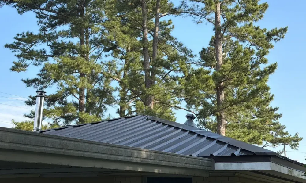 Rear hip of the dark metal roof under tall pines on a Central, LA home